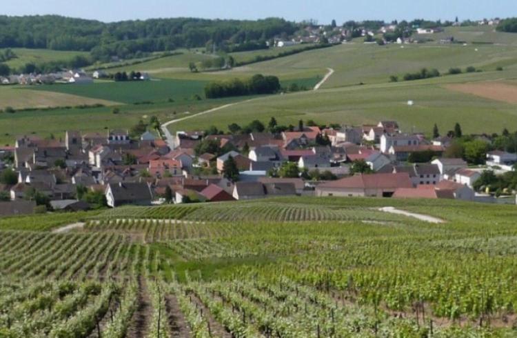 شقة La Longere De Vin'Ay Vinay  المظهر الخارجي الصورة